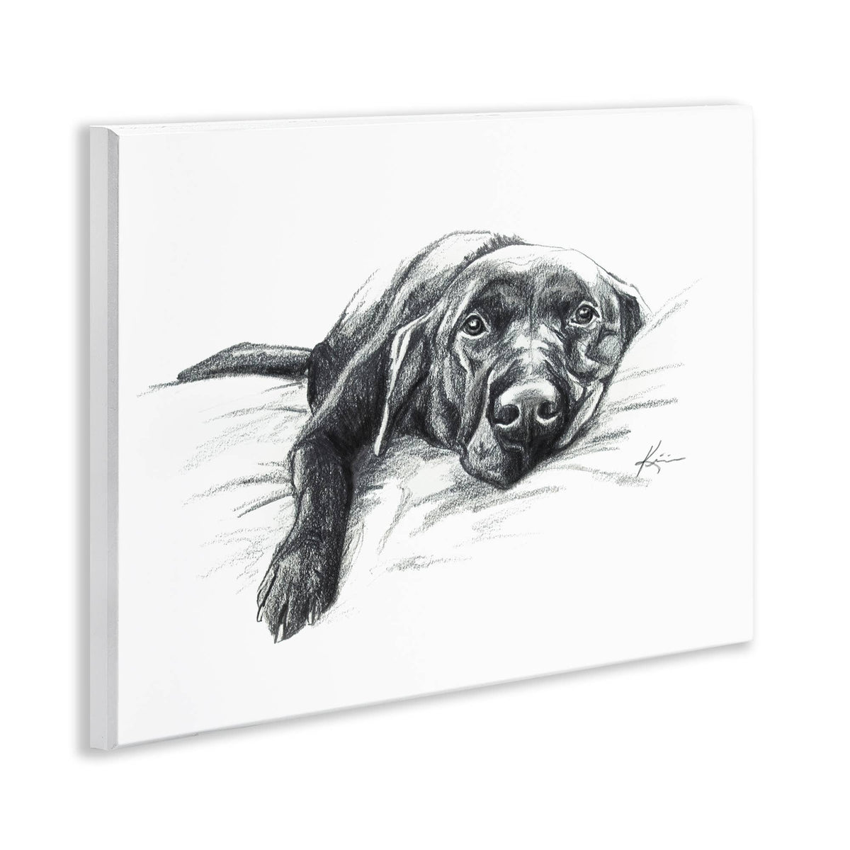 Naptime Black Labrador - Unframed Wall Art