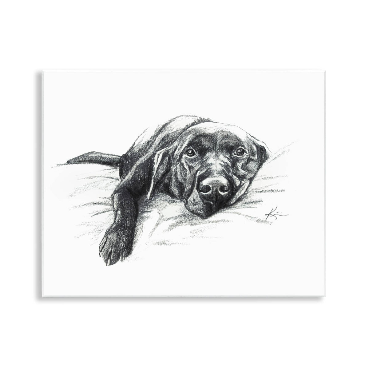 Naptime Black Labrador - Unframed Wall Art