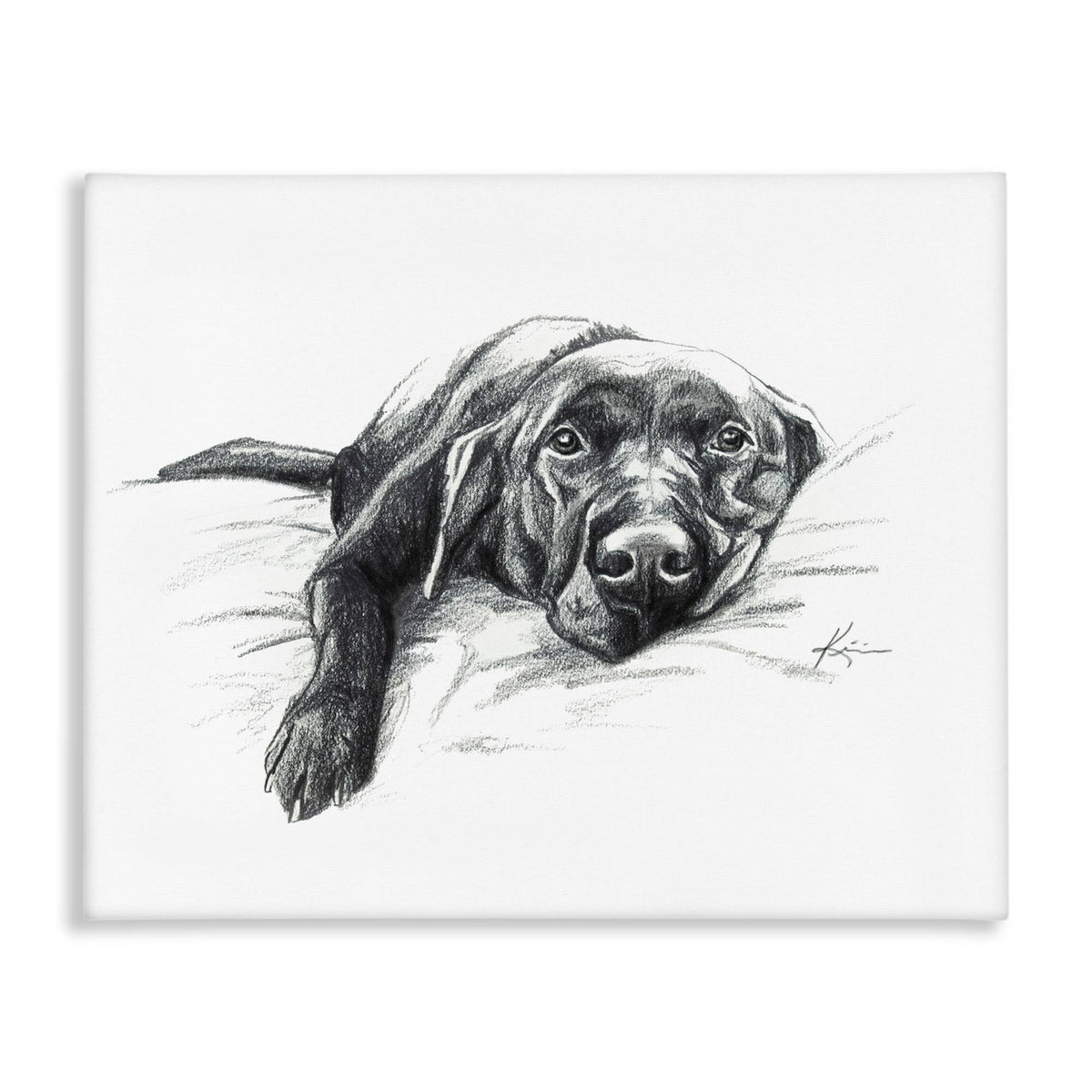Naptime Black Labrador - Unframed Wall Art