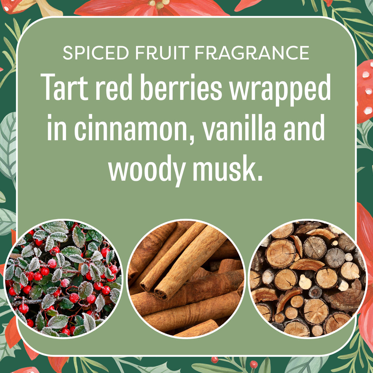 Fresh Scents | Peace on Earth Sachets | Holiday, Christmas
